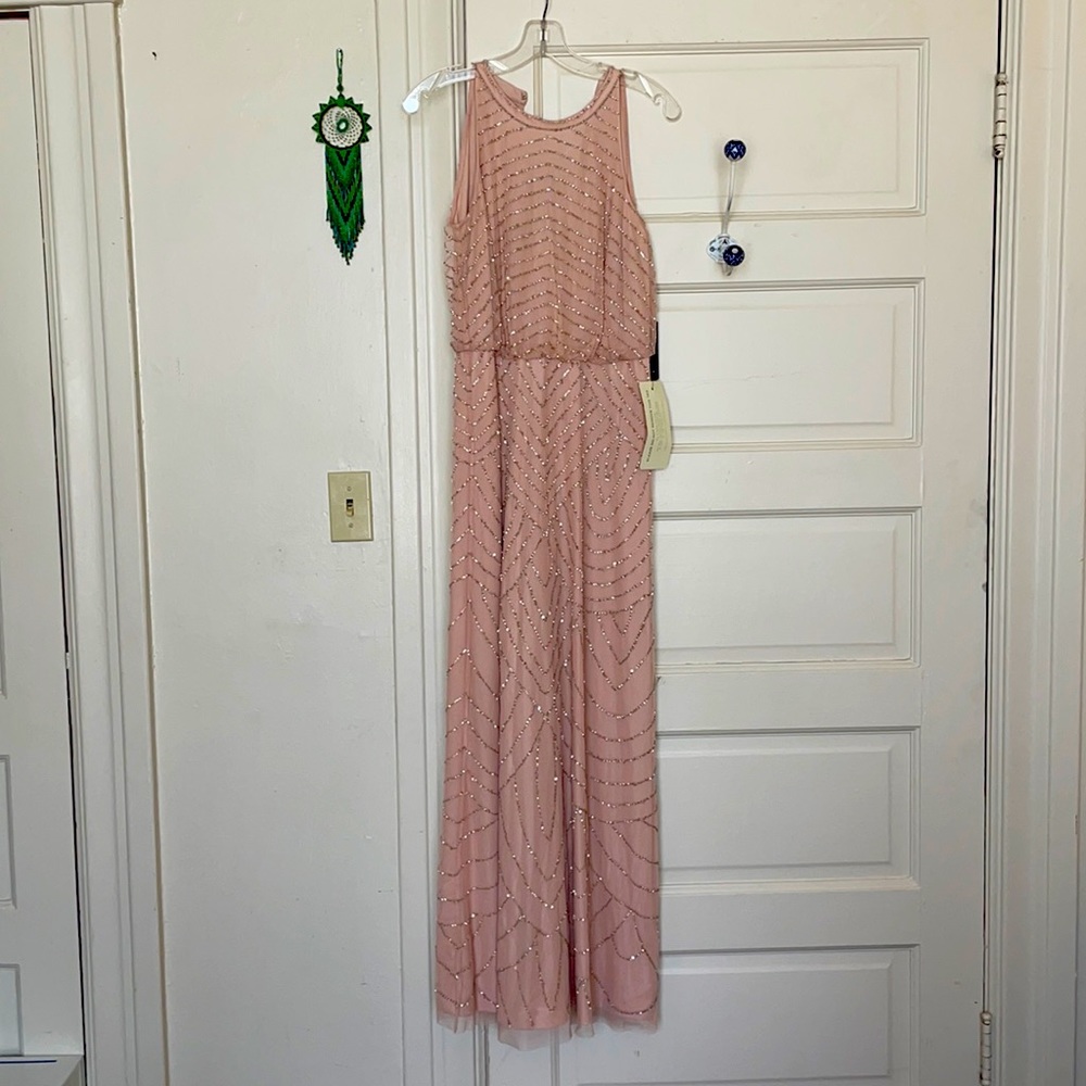 2 Adrianna Papell Beaded Blush Gowns